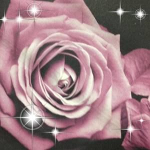 Meet your Posher, Jacinta